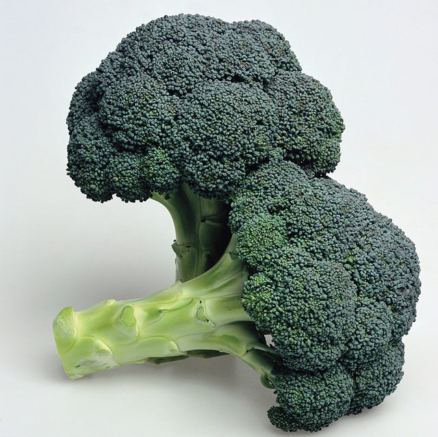 Broccoli 'Ironman' F1 Frö