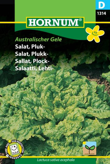 Plocksallat 'Australischer Gele' frö