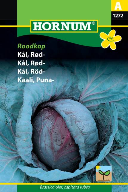 Rödkål 'Roodkop' frö