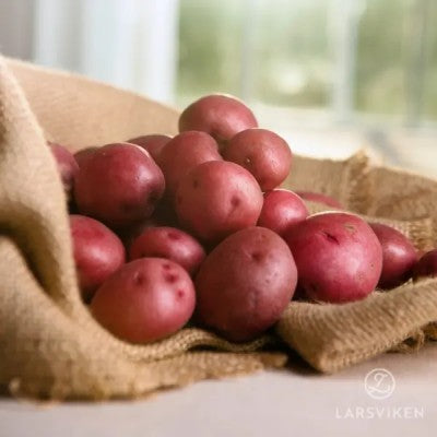 Sättpotatis - Rosara 1kg EKO