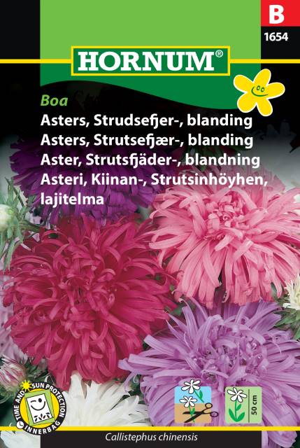 Strutsfjäderaster Mix 'Boa' frö