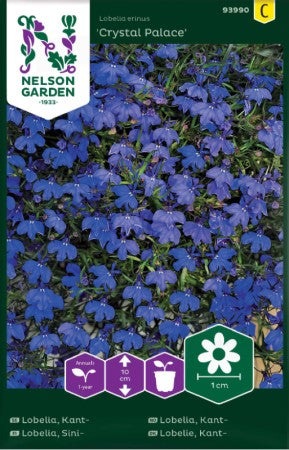 Kantlobelia 'Crystal Palace'