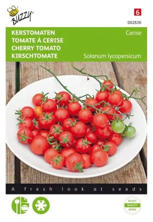Tomat Vanlig 'Cerise'