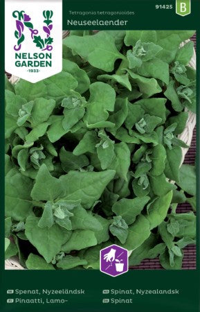 Spenat 'Nyzeeländsk'