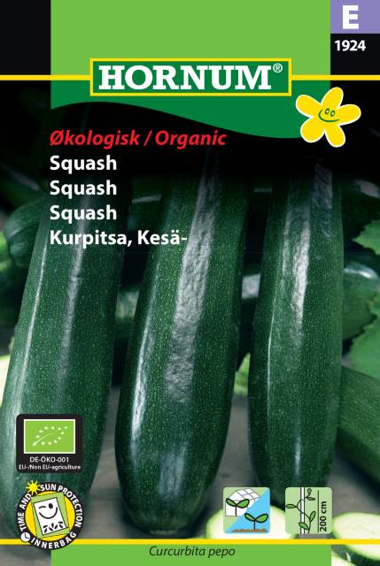 Squash 'Black Beauty' EKO