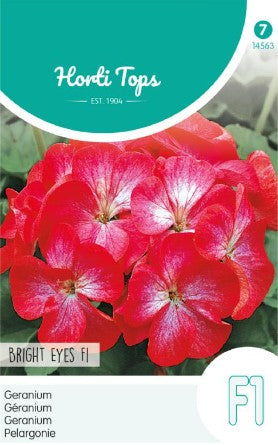 Pelargon 'Bright Eyes' F1