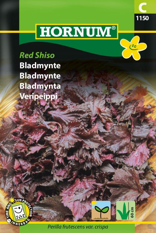 Bladmynta 'Red Shiso'