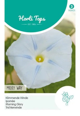 Blomman för dagen 'Milky Way'