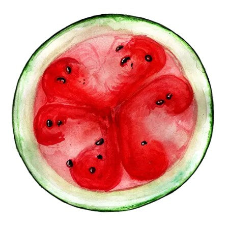 Vattenmelon 'Blacktail Mountain' Svenskodlat frö