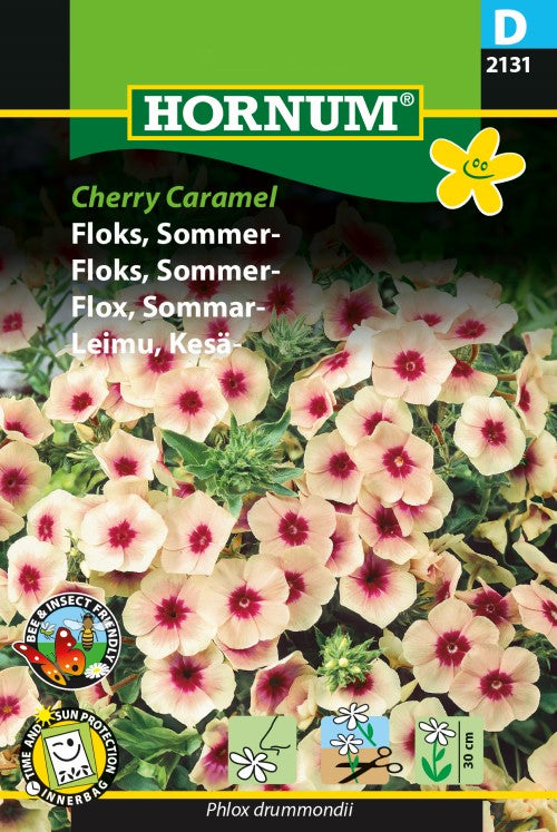 Sommarflox 'Cherry Caramel'
