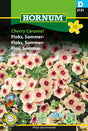 Sommarflox 'Cherry Caramel'