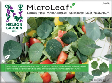 Micro Leaf 'Salladskrasse'