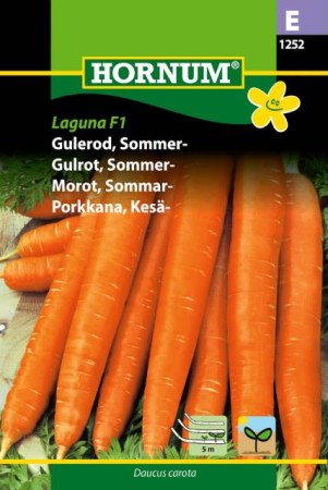 Sommarmorot 'Laguna' F1 - Såband