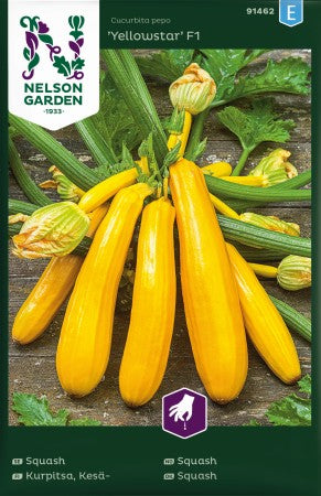 Squash 'Yellowstar' F1