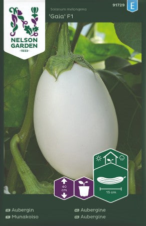 Aubergin 'Gaia' F1