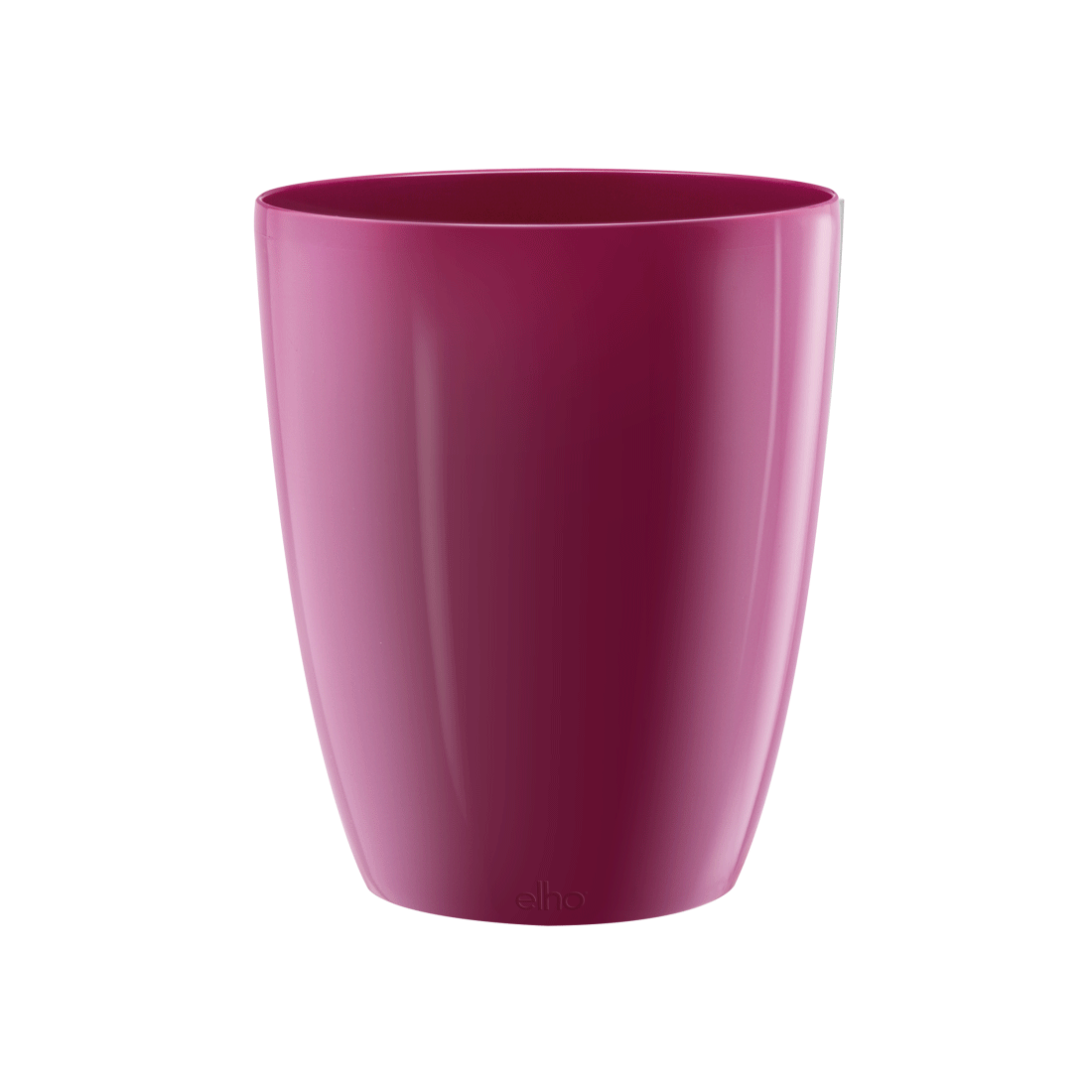 Brussels Orchid High 12,5cm Cherry Red