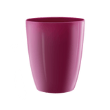 Brussels Orchid High 12,5cm Cherry Red