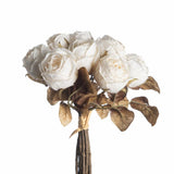 Rosa Dried Bundle cream x10 27 cm