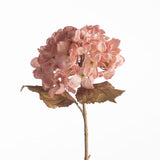 Hydrangea Dried pink 61 cm