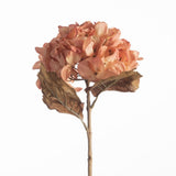 Hydrangea Dried peach 61 cm