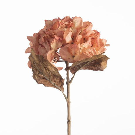 Hydrangea Dried peach 61 cm