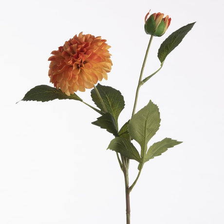 Dahlia pompon orange x2 61 cm