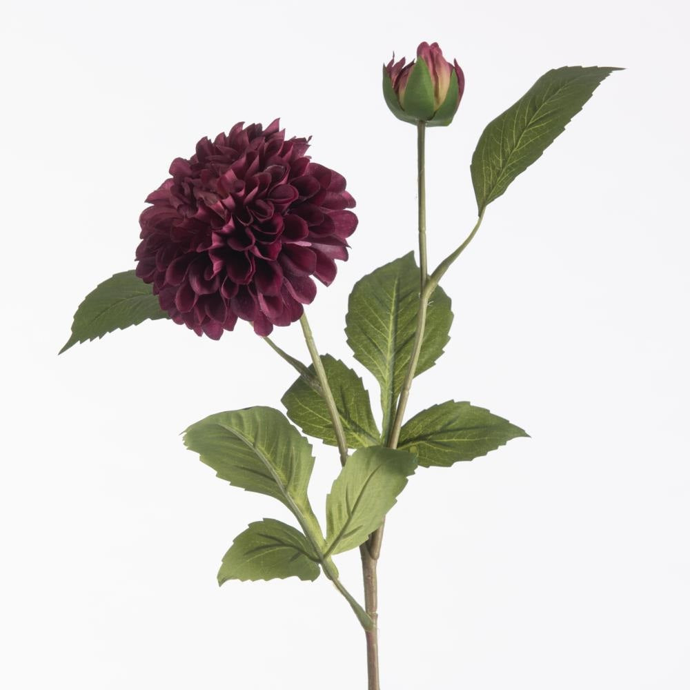 Dahlia pompon lavender x2 61 cm