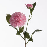 Dahlia pompon light pink x2 61 cm