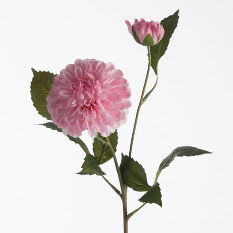 Dahlia pompon light pink x2 61 cm