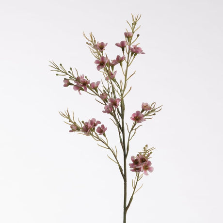 Wax Flower pink 69 cm