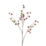 Rosehip Pumpkin Spray red 102 cm