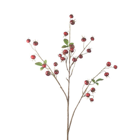 Rosehip Pumpkin Spray red 102 cm
