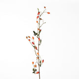 Rosehip Zaffiro Spray orange 109 cm
