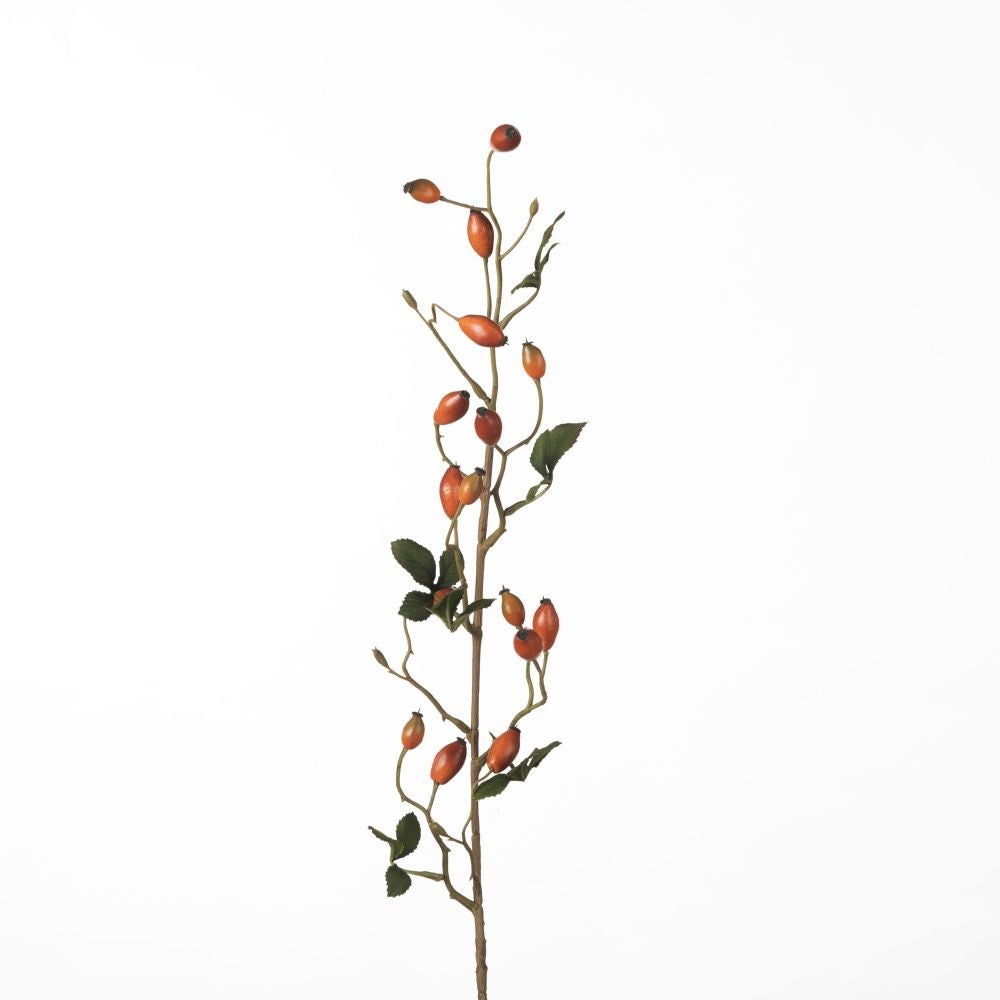 Rosehip Zaffiro Spray orange 84 cm
