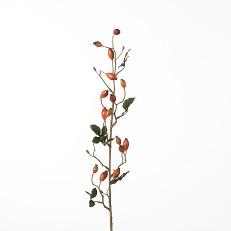 Rosehip Zaffiro Spray orange 84 cm