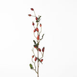 Rosehip Zaffiro Spray red 84 cm