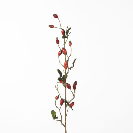 Rosehip Zaffiro Spray red 84 cm