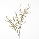 Asparagus Spray green 102 cm