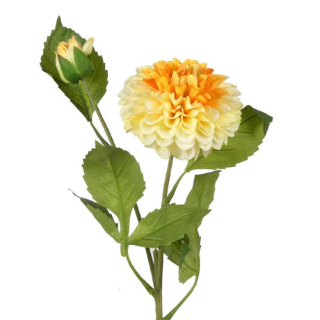 Dahlia pompon yellow x2 61 cm