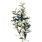 Olive Spray green 104 cm