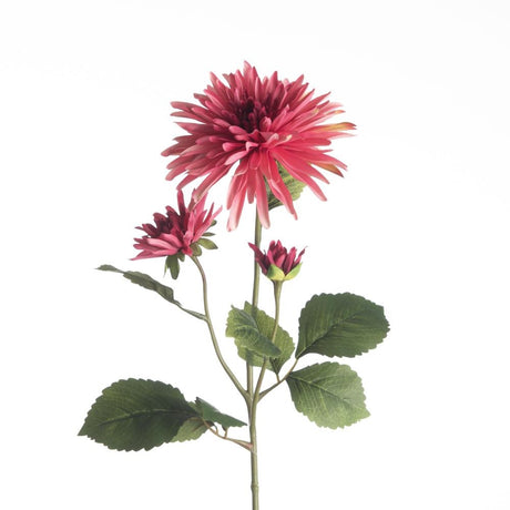 Dahlia dark pink 71 cm