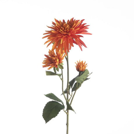 Dahlia orange 71 cm