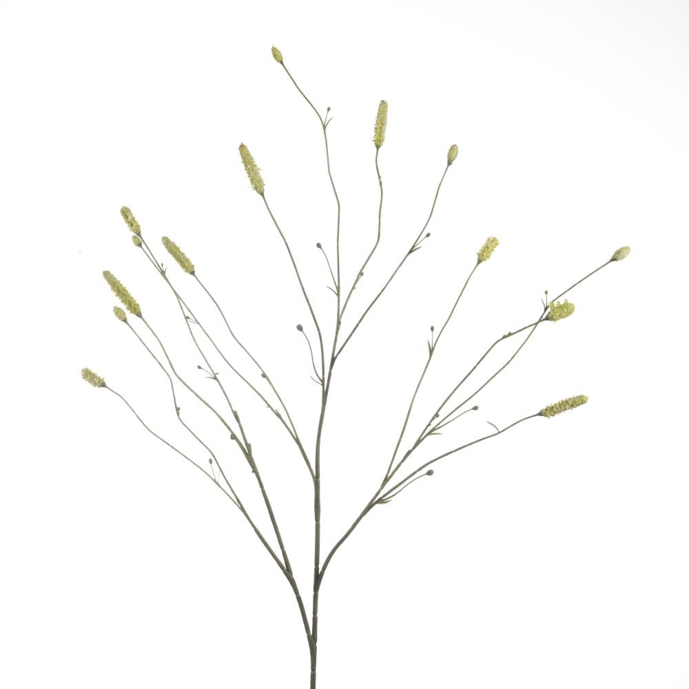 Sanguisorba green x14 109 cm
