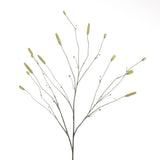 Sanguisorba green x14 109 cm