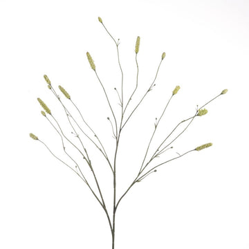 Sanguisorba green x14 109 cm