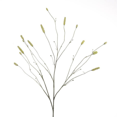 Sanguisorba green x14 109 cm