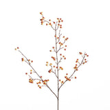 Celastrus spray orange 101 cm