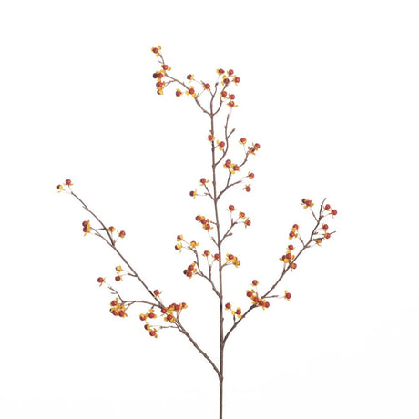 Celastrus spray orange 101 cm