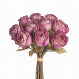 Rosa Dried Bundle purple x10 27 cm