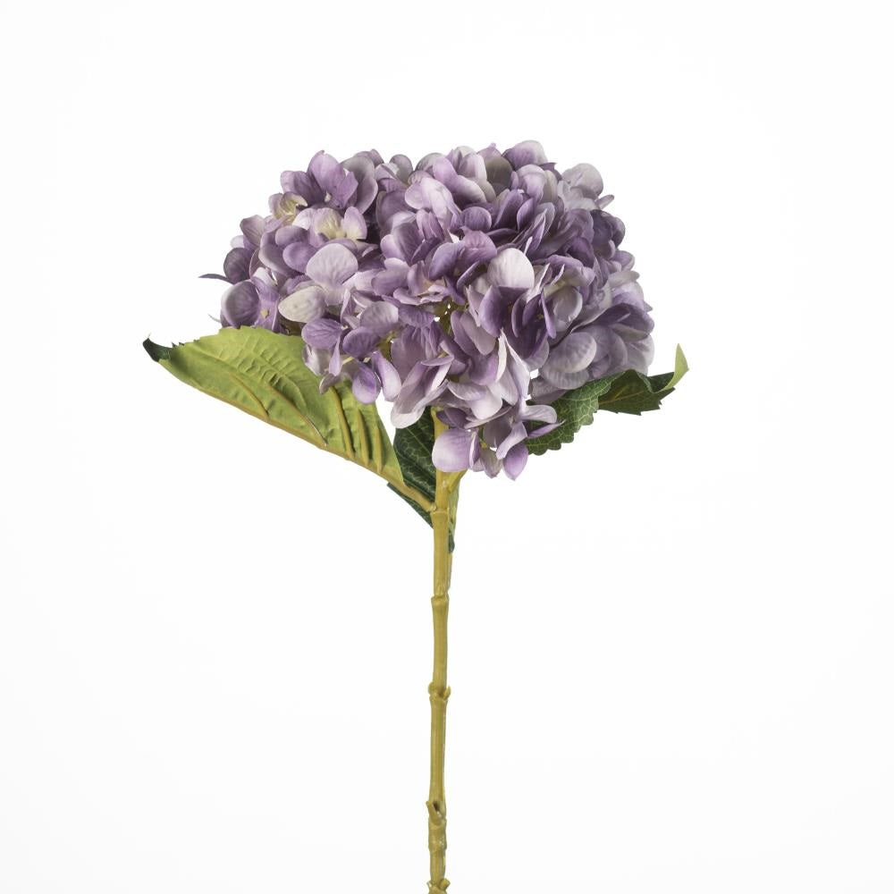 Hydrangea lilac 64 cm